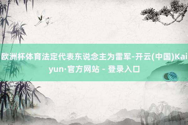 欧洲杯体育法定代表东说念主为雷军-开云(中国)Kaiyun·官方网站 - 登录入口