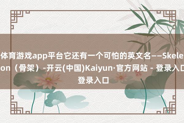 体育游戏app平台它还有一个可怕的英文名——Skeleton（骨架）-开云(中国)Kaiyun·官方网站 - 登录入口