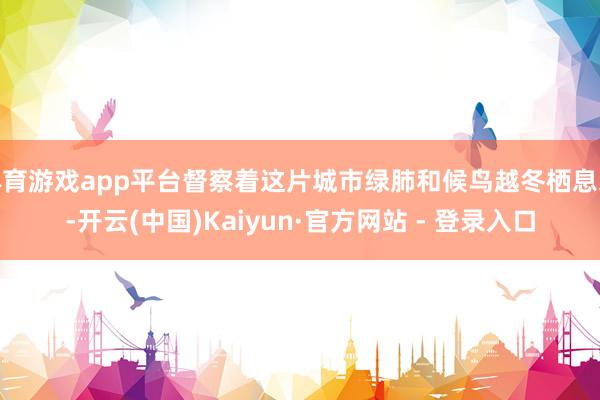 体育游戏app平台督察着这片城市绿肺和候鸟越冬栖息地-开云(中国)Kaiyun·官方网站 - 登录入口