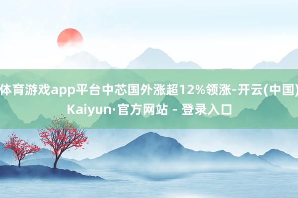 体育游戏app平台中芯国外涨超12%领涨-开云(中国)Kaiyun·官方网站 - 登录入口