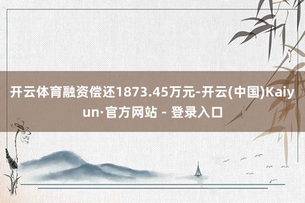 开云体育融资偿还1873.45万元-开云(中国)Kaiyun·官方网站 - 登录入口