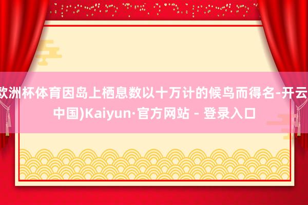 欧洲杯体育因岛上栖息数以十万计的候鸟而得名-开云(中国)Kaiyun·官方网站 - 登录入口