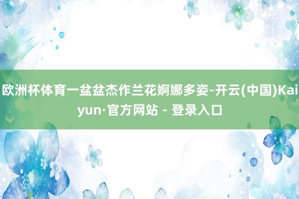 欧洲杯体育一盆盆杰作兰花婀娜多姿-开云(中国)Kaiyun·官方网站 - 登录入口