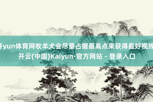 开yun体育网牧羊犬会尽量占据最高点来获得最好视线-开云(中国)Kaiyun·官方网站 - 登录入口