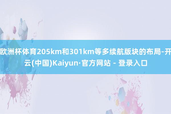 欧洲杯体育205km和301km等多续航版块的布局-开云(中国)Kaiyun·官方网站 - 登录入口